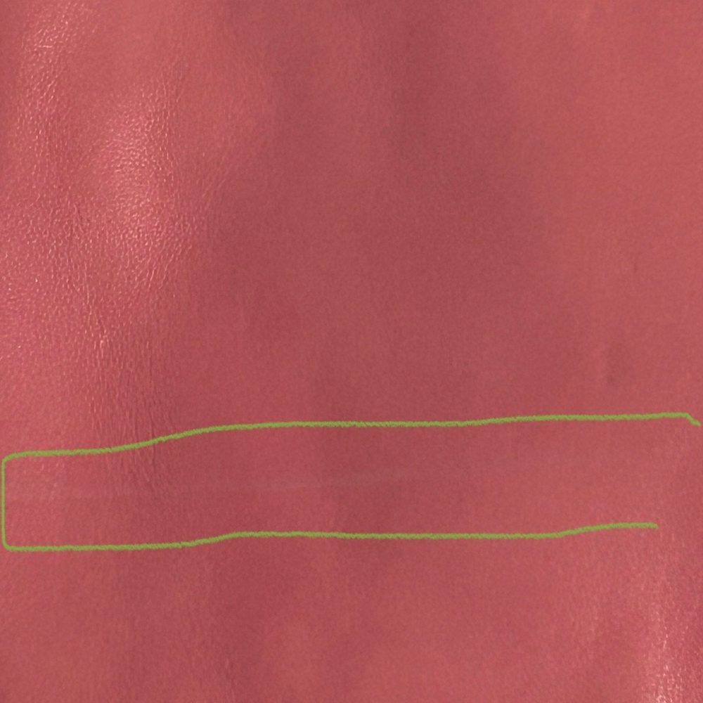 Miu Miu Pink Lambskin Leather Crossbody Bag with Gold Hardware - Picture 15 of 16